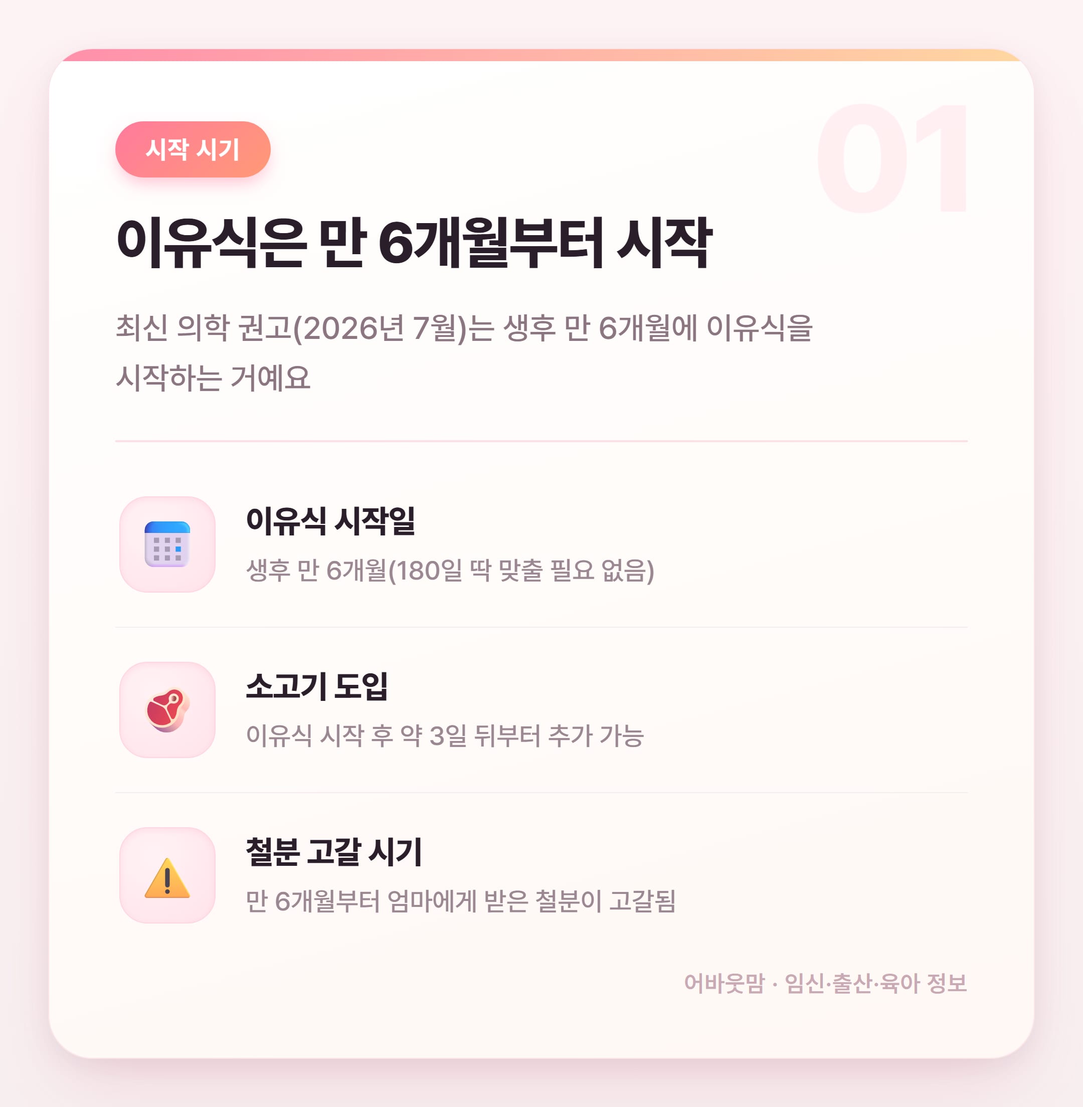 이유식 소고기 양 시기별 총정리 2026 설명 카드