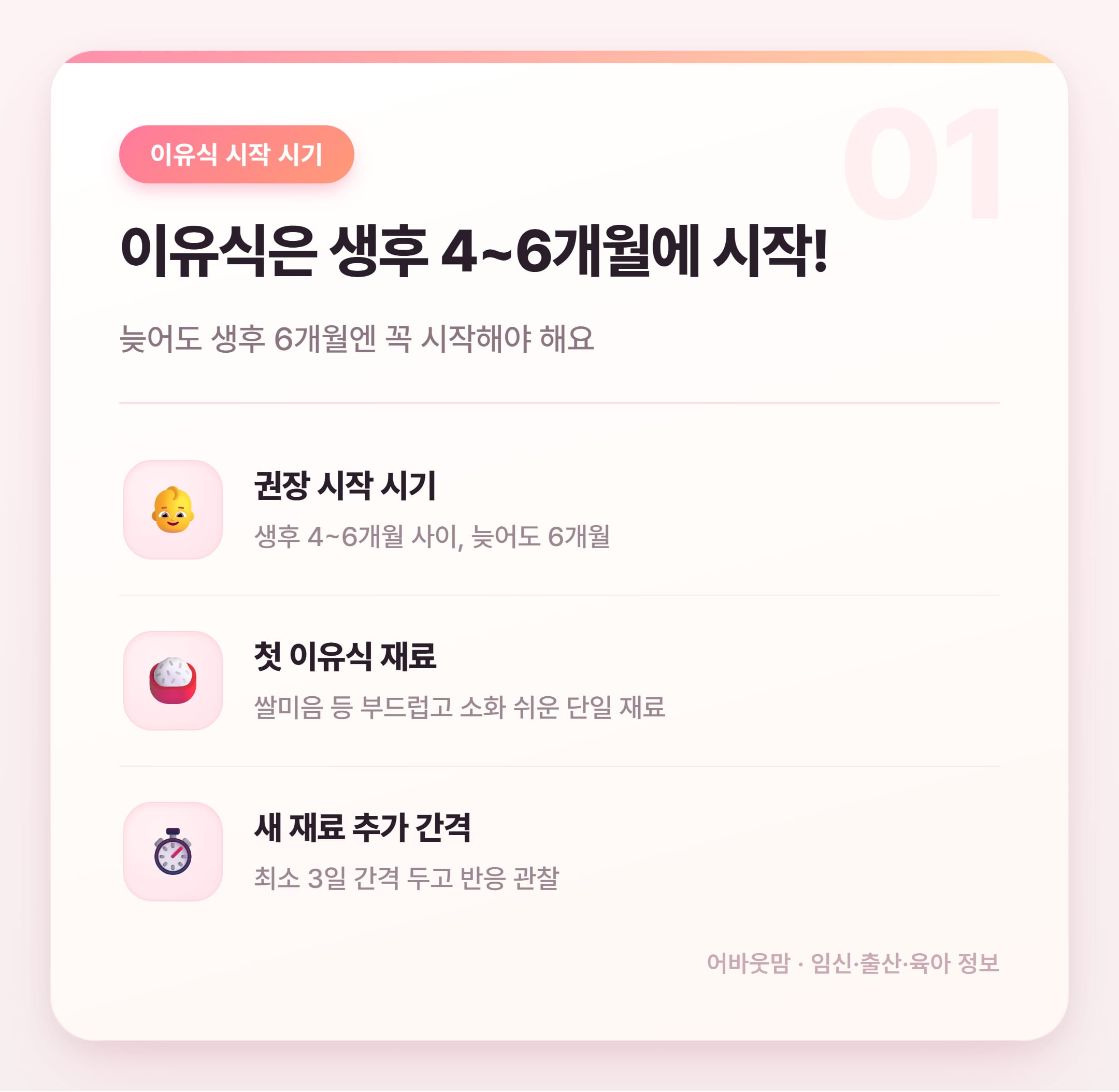 유아식 식단 책으로 정리한 이유식 단계별 가이드 설명 카드