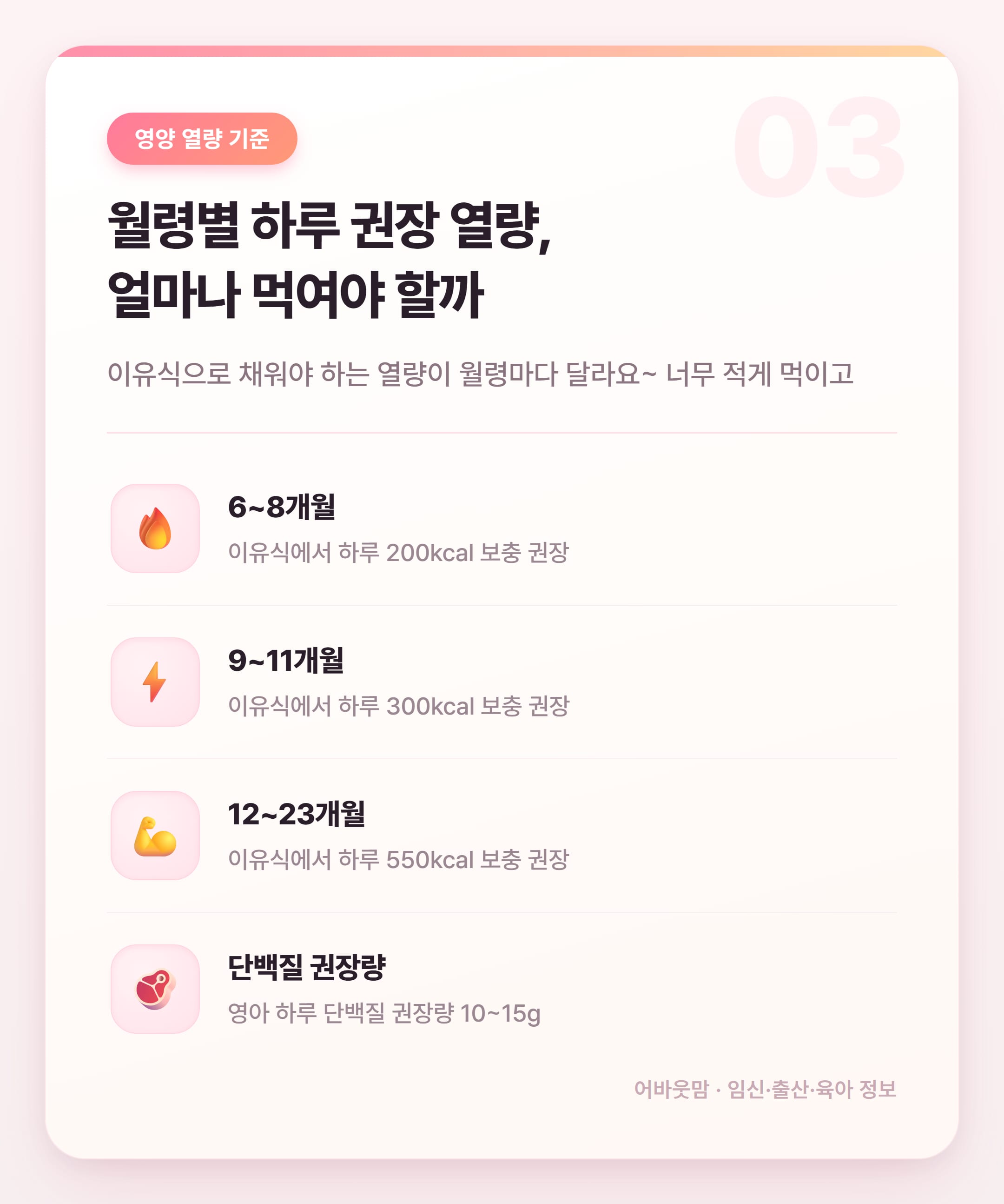 유아식 식단 책으로 정리한 이유식 단계별 가이드 설명 카드