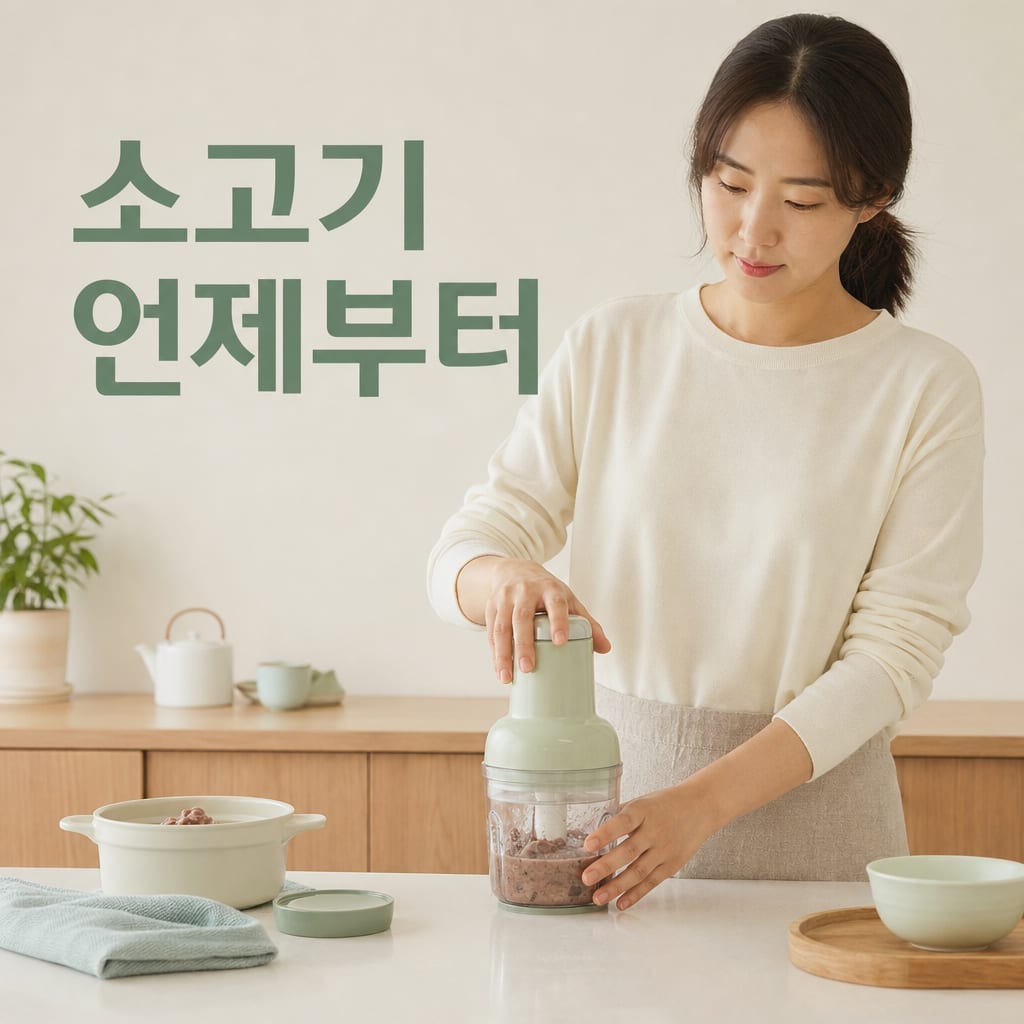 초기 이유식 소고기 시작 시기와 양 총정리 설명 카드