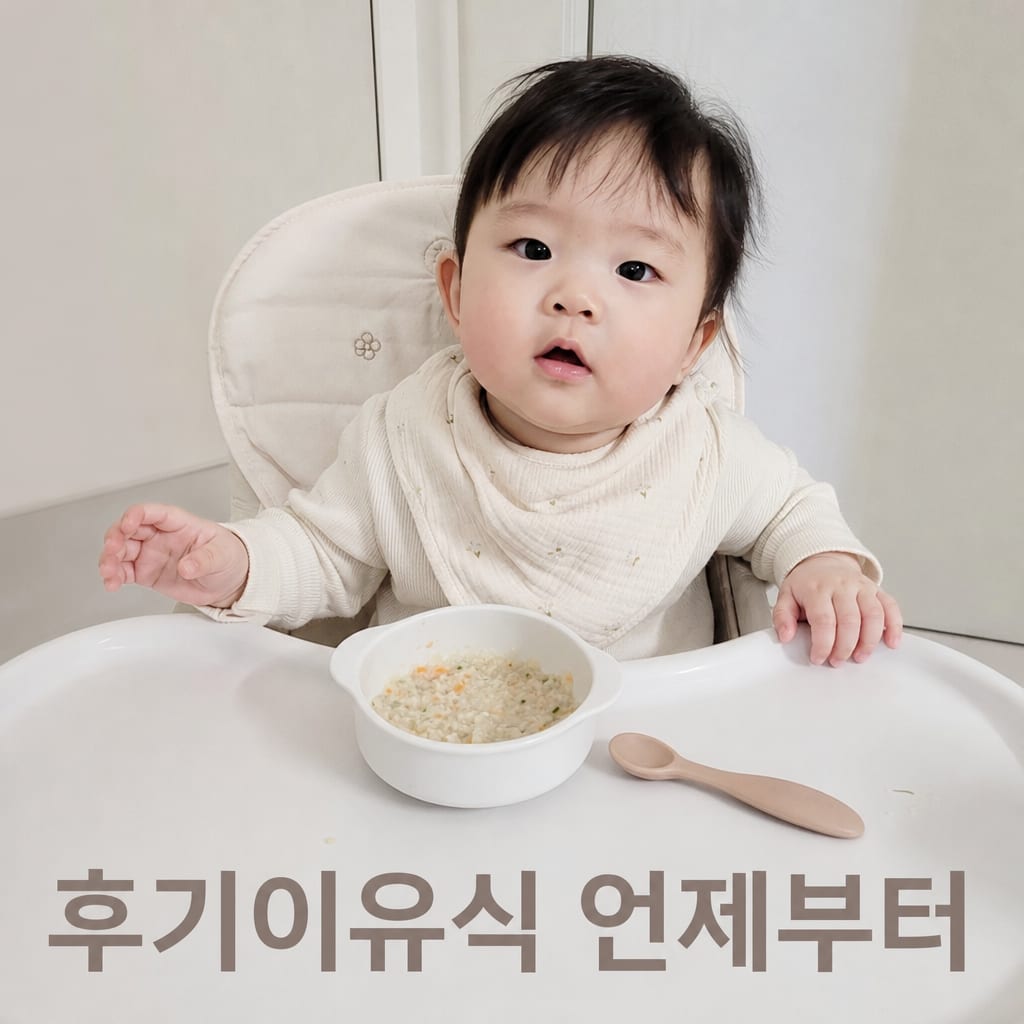 후기이유식 시기 총정리 (생후 9~11개월) 설명 카드