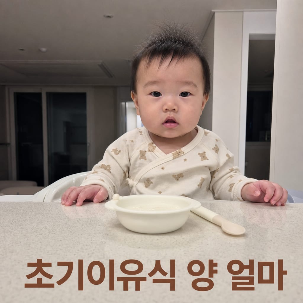 초기이유식 양과 횟수 실전 정리 2026 설명 카드